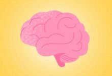 Reaching a Healthy Weight Could Help Your Brain Stay Younger, New Study Says