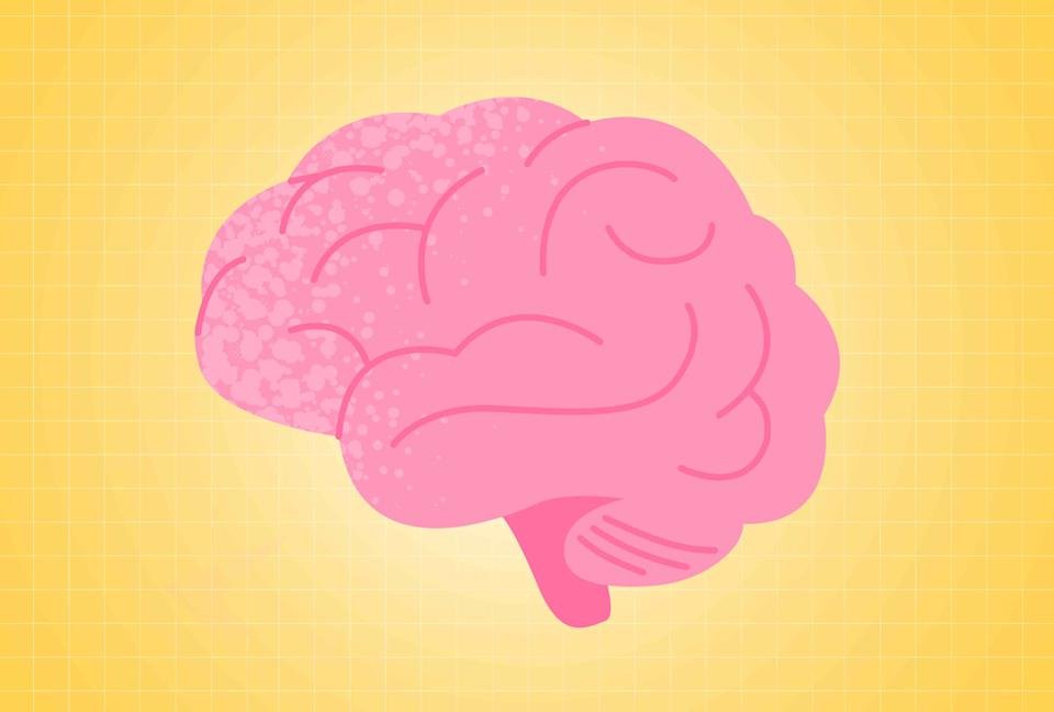 MRI scans showing the brain's health in relation to weight loss