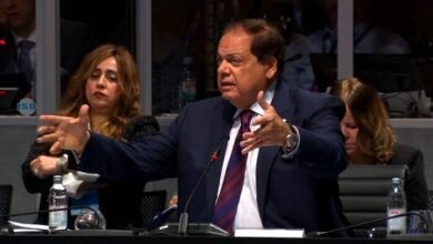 أبو العينين: السيسي يقود جهود التهدئة بالشرق الأوسط ومصر محور الاستقرار